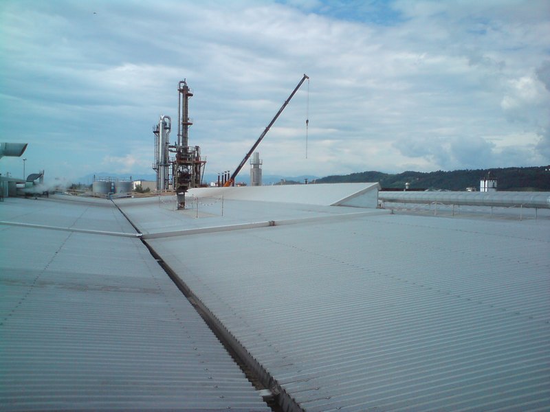 cormons_034.jpg